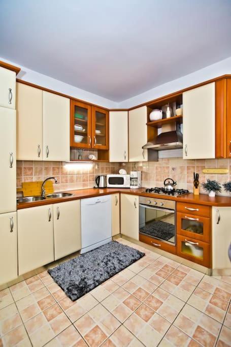 Apartman Tino With Two Sunny Terace フヴァル エクステリア 写真